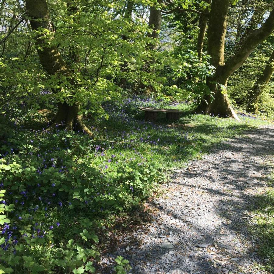 173A Woodland Way Hotel Porthmadog Eksteriør billede